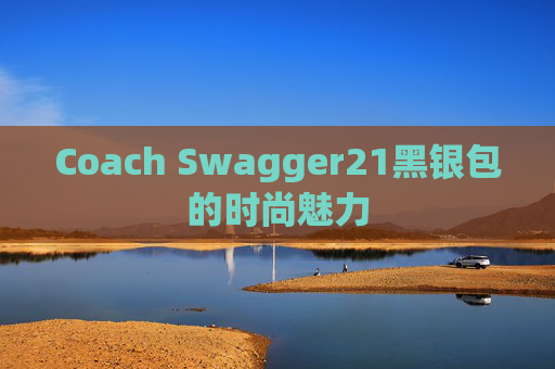 Coach Swagger21黑银包的时尚魅力