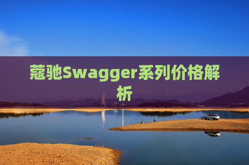 蔻驰Swagger系列价格解析